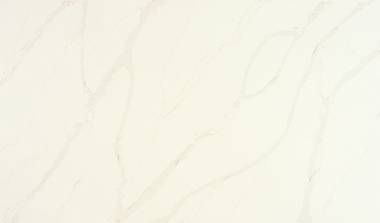 Daltile Quartz Builder Supply Outlet Calacatta Alabaster