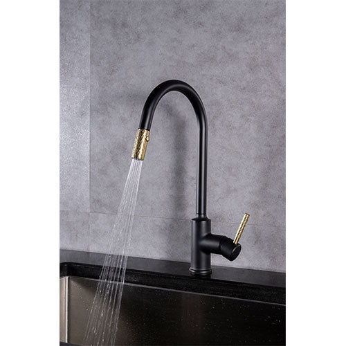 Prior Creek Ravenswood Single Handle Pull-down Kitchen Faucet in Matte Black Kitchen Faucet Jiangmen Luxury Houseware Company Limited