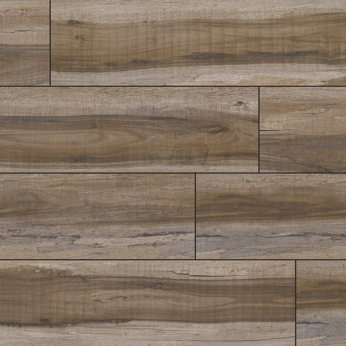 XL Cyrus - Exotika - 12 MIL - 9 x 60 in - Sample Flooring Sample MSI