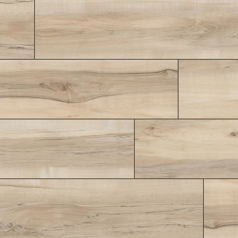 XL Cyrus - Akadia - 12 MIL - 9 x 60 in - Sample Flooring Sample MSI
