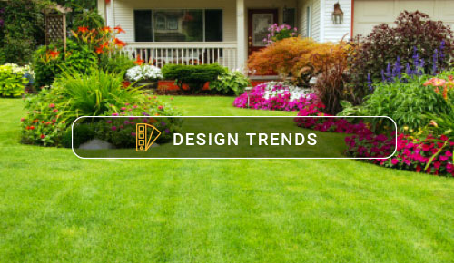 Can Planting Grass Really Be This Simple?