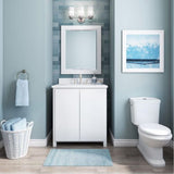 Lanham 30" Vanity in White