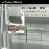 American Standard Estate Pull Down Kitchen Faucet in Stainless Steel