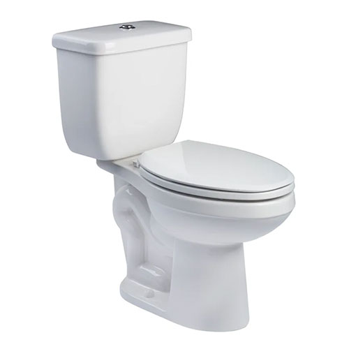 Flowise Dual Flush Toilet