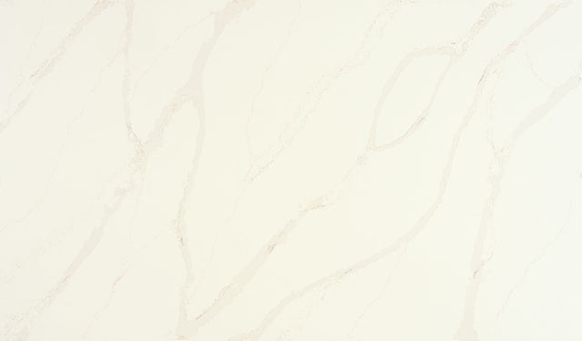 Daltile Quartz Builder Supply Outlet Calacatta Alabaster