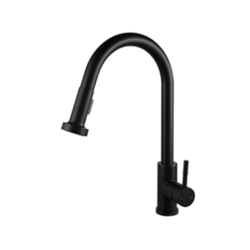 Prior Creek Division Single Handle Pull-down Kitchen Faucet in Matte Black
