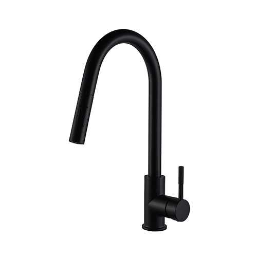 Prior Creek Lakeview Single Handle Pull-down Kitchen Faucet in Matte Black