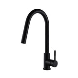 Prior Creek Lakeview Single Handle Pull-down Kitchen Faucet in Matte Black
