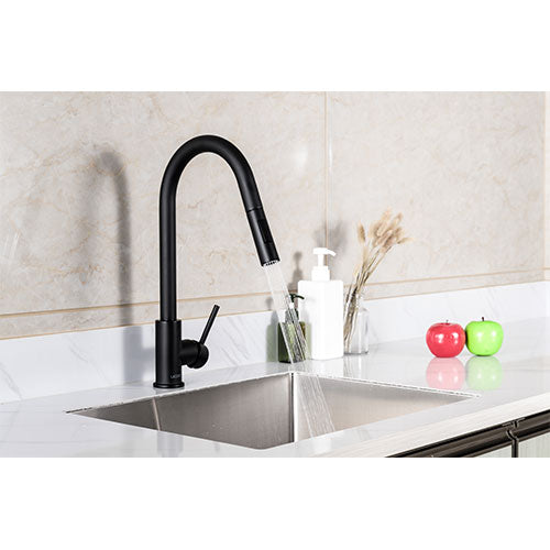 Prior Creek Lakeview Single Handle Pull-down Kitchen Faucet in Matte Black
