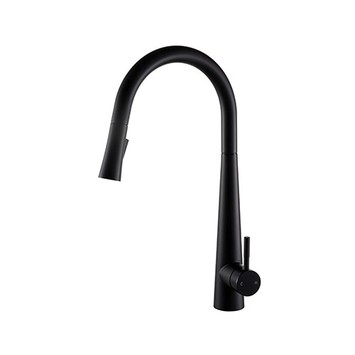 Prior Creek Oak Park Single Handle Pull-down Kitchen Faucet in Matte Black