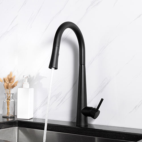 Prior Creek Oak Park Single Handle Pull-down Kitchen Faucet in Matte Black