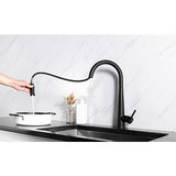Prior Creek Oak Park Single Handle Pull-down Kitchen Faucet in Matte Black