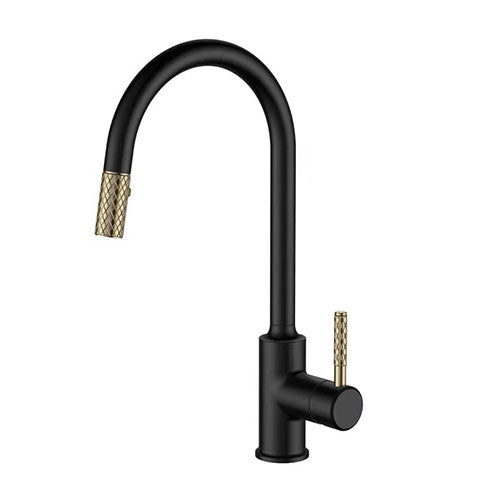 Prior Creek Ravenswood Single Handle Pull-down Kitchen Faucet in Matte Black