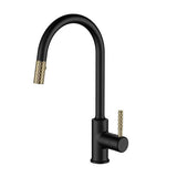 Prior Creek Ravenswood Single Handle Pull-down Kitchen Faucet in Matte Black