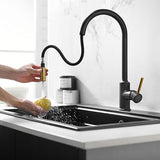 Prior Creek Ravenswood Single Handle Pull-down Kitchen Faucet in Matte Black