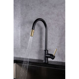 Prior Creek Ravenswood Single Handle Pull-down Kitchen Faucet in Matte Black