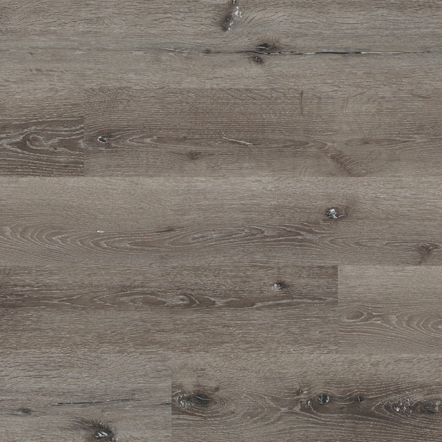 Cyrus 2.0 - Ludlow - 20 MIL - 7 x 48 in - Sample Flooring Sample MSI
