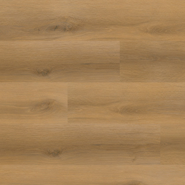 MSI Laurel – Scandi - 20 MIL - 9 x 48 in - Sample Flooring Sample MSI