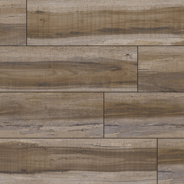 XL Cyrus - Exotika - 12 MIL - 9 x 60 in - Sample Flooring Sample MSI