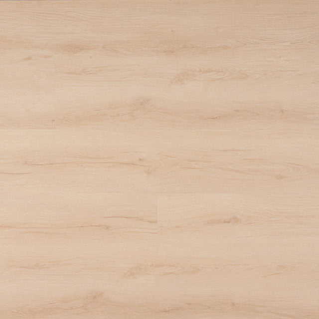 MSI Laurel – Fallonton - 20 MIL - 9 x 48 in - Sample Flooring Sample MSI