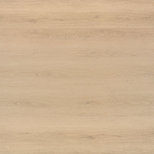 MSI Laurel – Palmilla - 20 MIL - 9 x 48 in - Sample Flooring Sample MSI