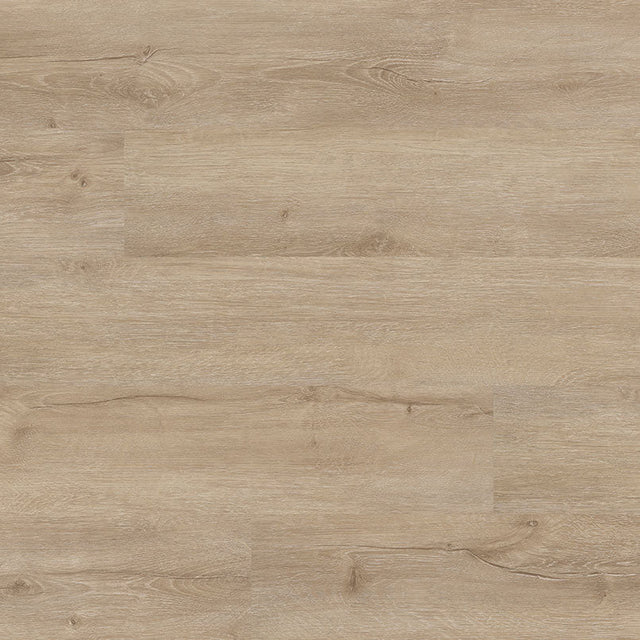 Cyrus 2.0 - Sandino - 20 MIL - 7 x 48 in - Sample Flooring Sample MSI