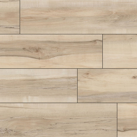 XL Cyrus - Akadia - 12 MIL - 9 x 60 in - Sample Flooring Sample MSI