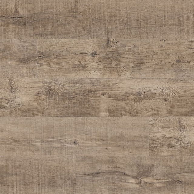 XL Cyrus - Ryder - 12 MIL - 9 x 60 in - Sample Flooring Sample MSI
